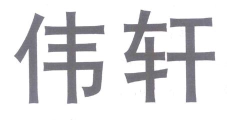伟轩